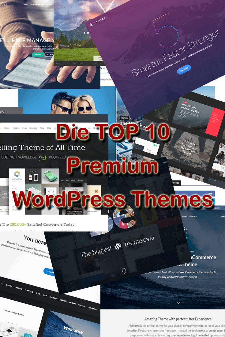Top Premium WordPress Themes