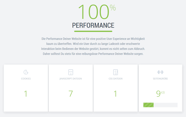 Website Checker - Bereich Performance