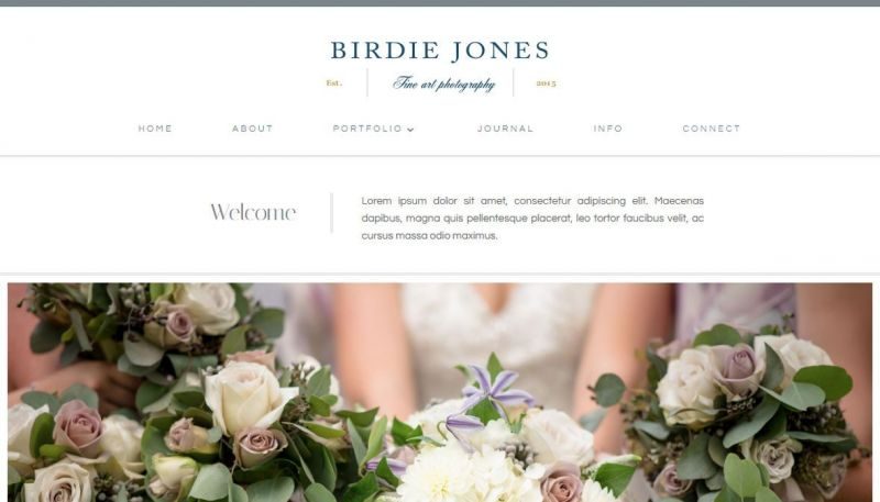 Birdie Jones WordPress-Theme for Artists