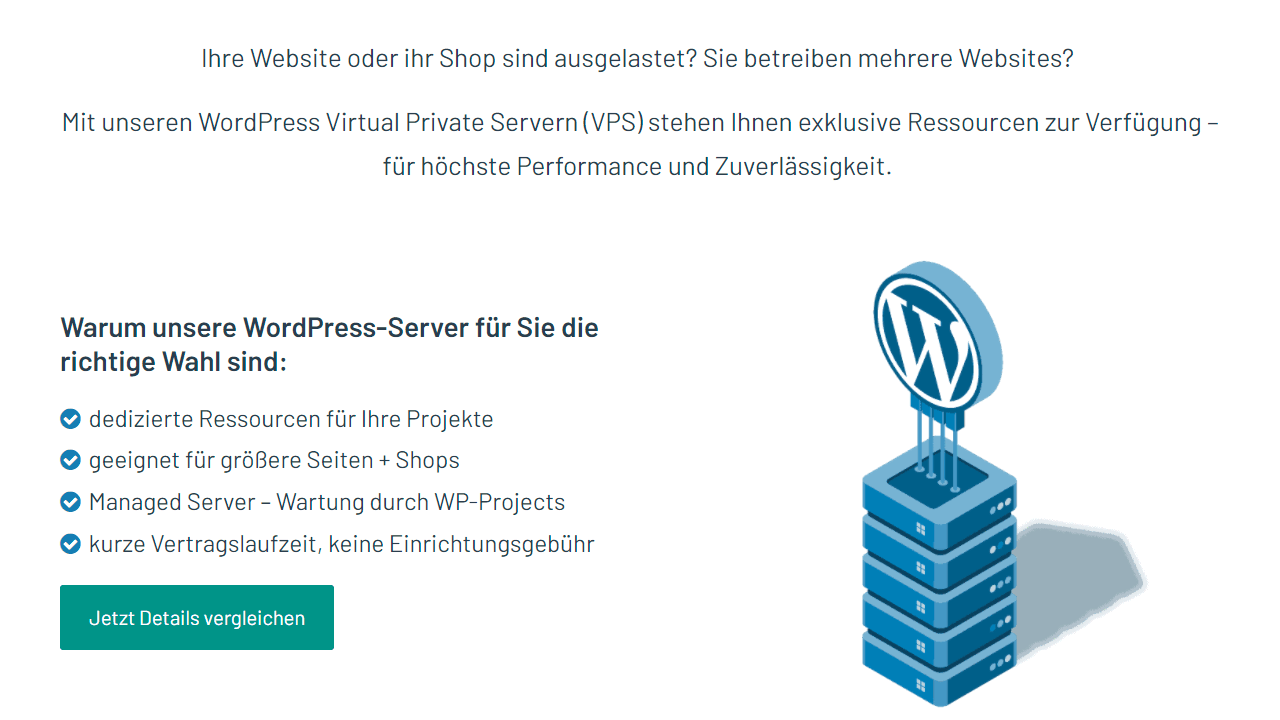 WP-Projects Server für Blogs mit hohem Besucheraufkommen oder große WooCommerce Shops.