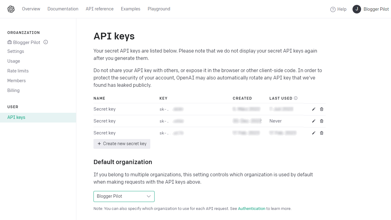 Your OpenAI API key.